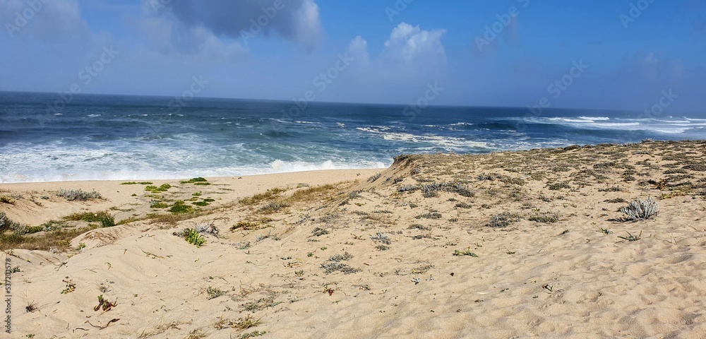 beach and sea