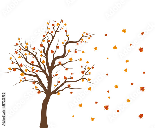 autumn background with a tree and fallen leaves. vector illustration © Elcinn