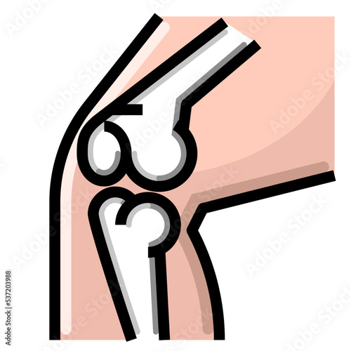 Cartilage knee