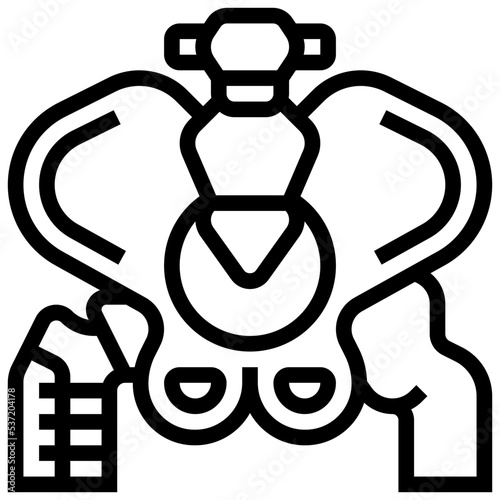 allograft icon