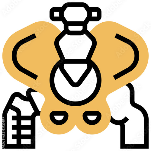 allograft icon
