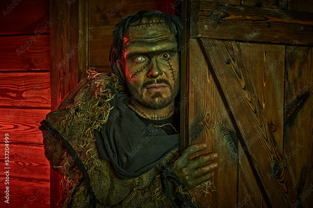 Obraz premium necromancer from middle ages