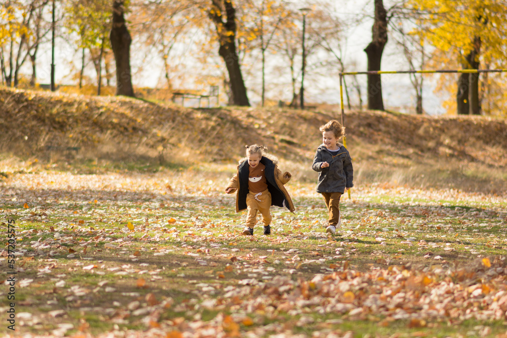 Fototapeta premium Kids brother and sister walking and playing outdoors in park in autumn.