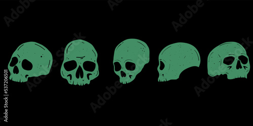 Human skull set. Anatomically correct human skulls set isolated. Monochrome Symbol. Hand drawn engraved retro badge for t-shirt, banner, poster and logo