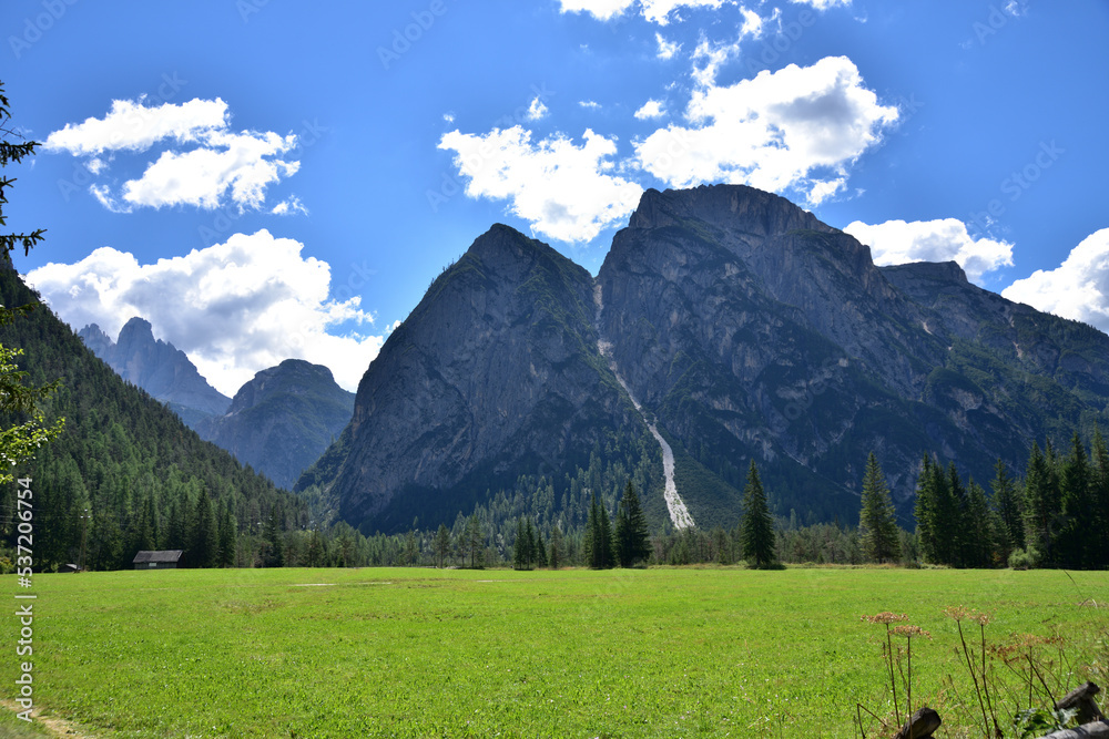 Large meadow in the valley