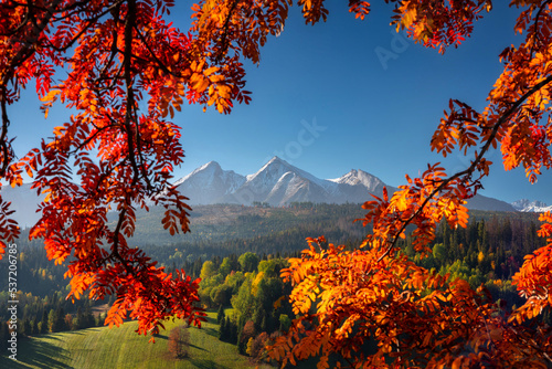 Beautiful autumn with a red and yellow trees under the Tatra Mountains at sunrise. Slovakia photo