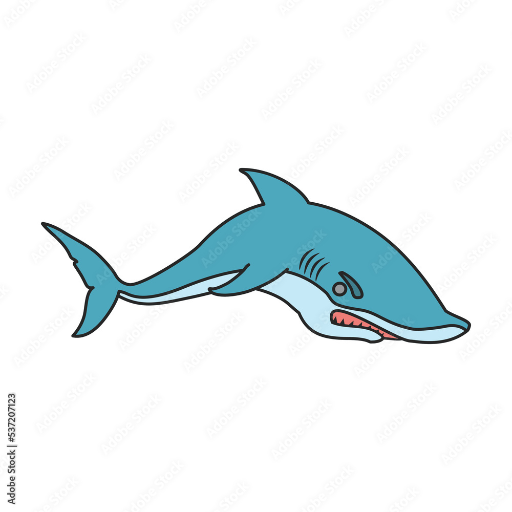 Fototapeta premium Shark vector icon.Color vector icon isolated on white background shark.