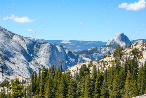 Landscape in Yosemite National Park