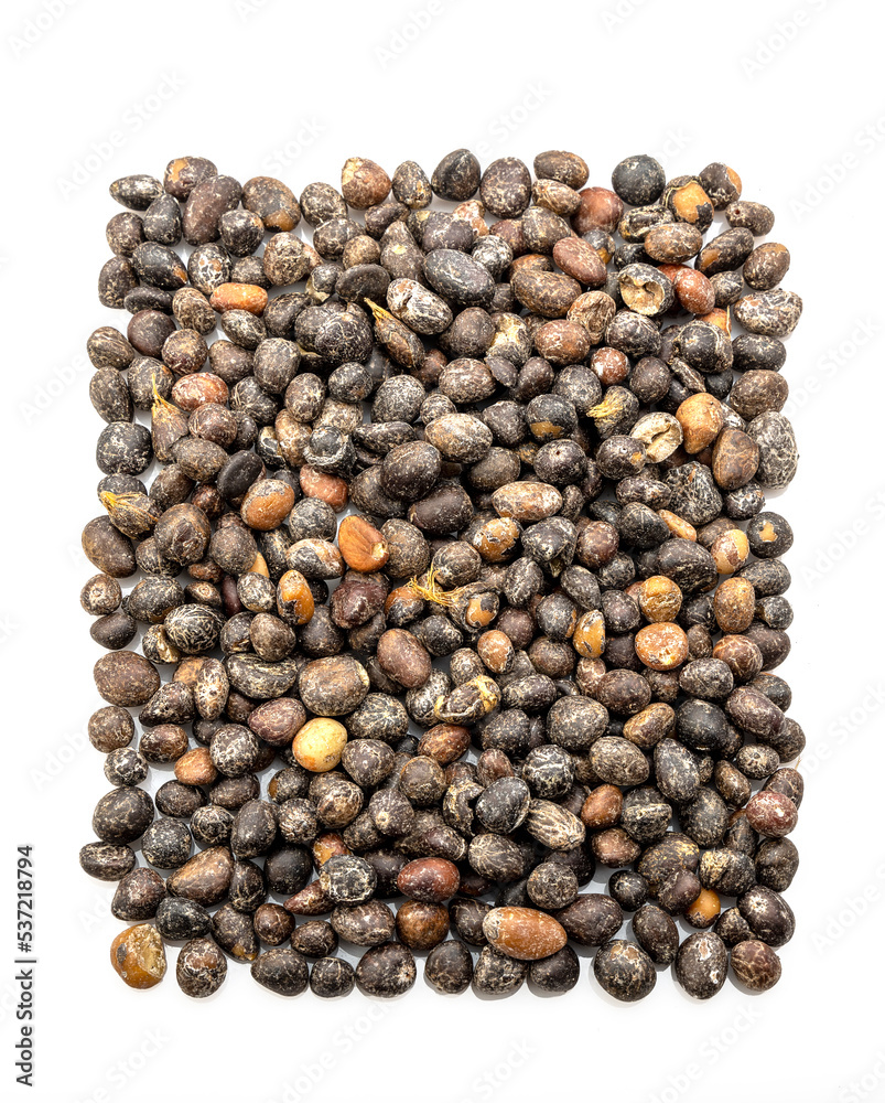The palm kernel is the oil palm fruit.
The fruit yields palm oil derived from the outer elements of the fruit, and palm kernel oil derived from the kernel The palm kernel is the oil palm fruit.
The fruit yields palm oil derived from the outer elements of the fruit, and palm kernel oil derived from the kernel