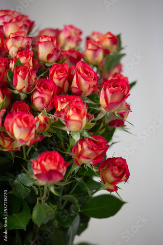 Bouquet consisting of many pink roses