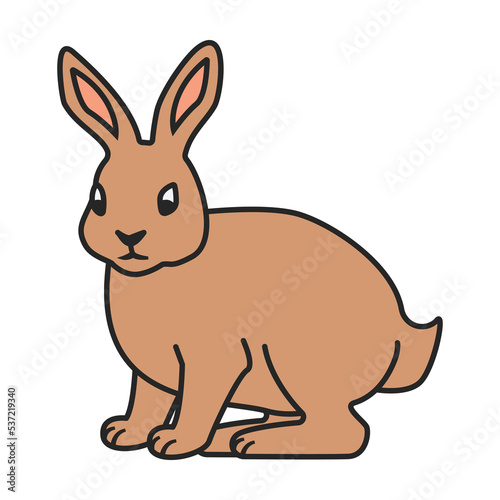 Rabbit vector icon.Color vector icon isolated on white background rabbit. © Svitlana