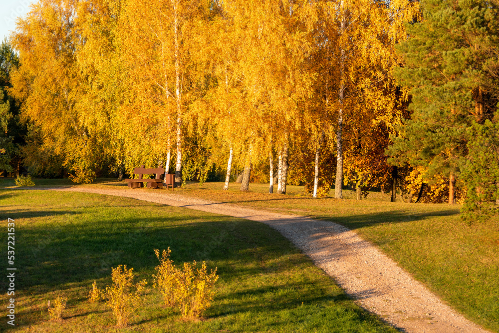 Park pathway through the autumn trees