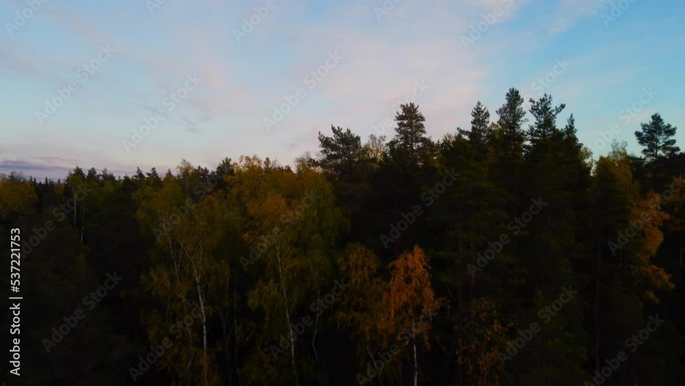 Flying over treetops of a versant autumn forest towards a colourful dusk sky Flying over treetops of a versant autumn forest towards a colourful dusk sky