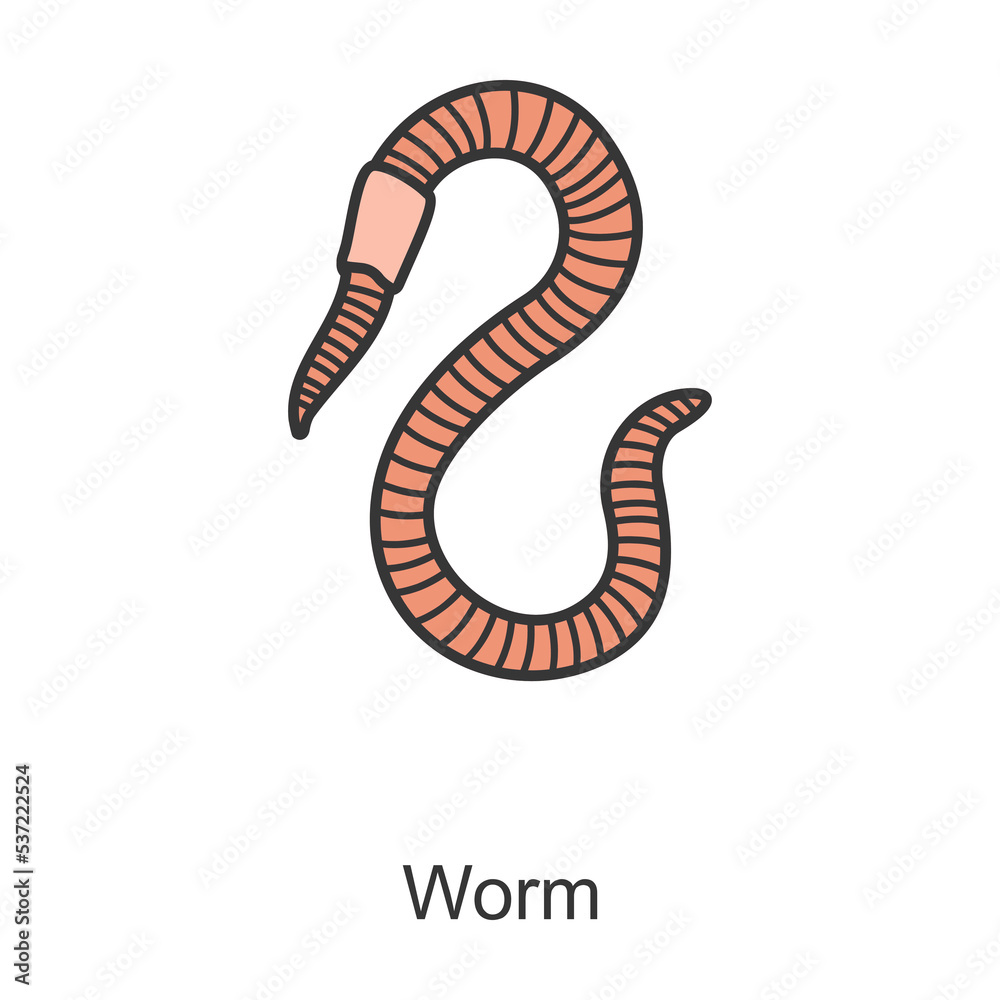Naklejka premium Earthworm vector icon.Color vector icon isolated on white background earthworm.