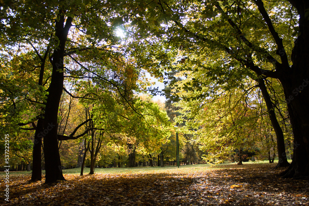 Naklejka premium 11.10.2022 Białystok Polska. Słoneczny poranek i kolory jesieni w parku.