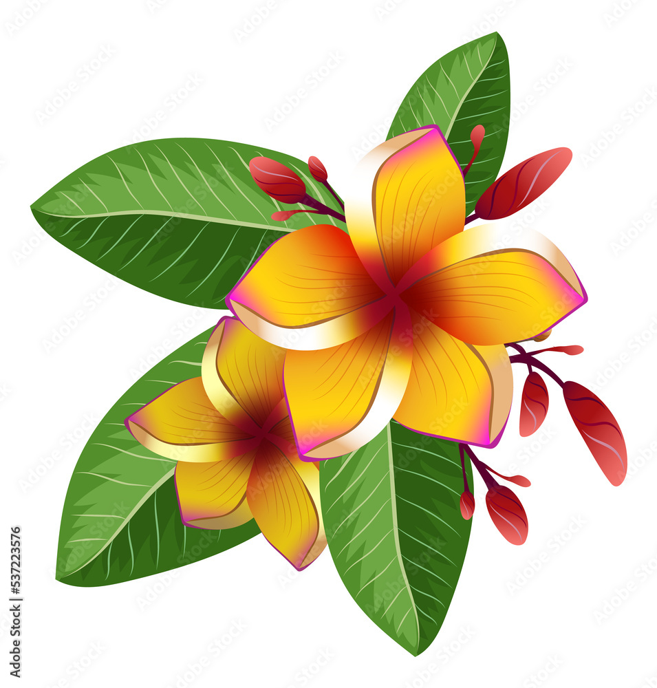 Yellow exotic flower on green leaves. Tropical paradise flora