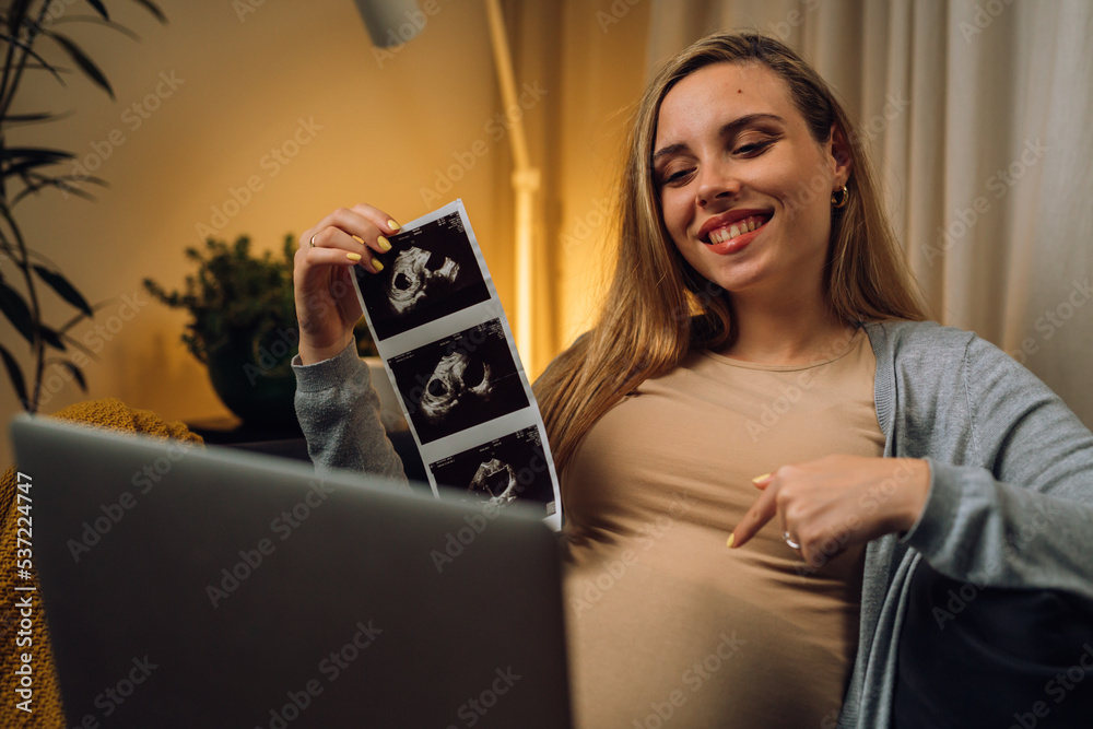 caucasian pregnant woman sits on sofa and using laptop for video call at her living room caucasian pregnant woman sits on sofa and using laptop for video call at her living room