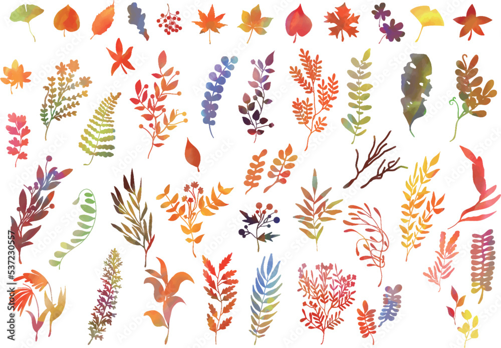 Φωτογραφία 手描き水彩画 秋の紅葉 植物 イラストアイコン セット