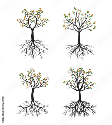 Set Autumn Tree with Roots. Vector outline Illustration. Plant in Garden.