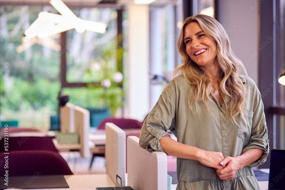 Portrait Of Mature Businesswoman Standing By Partition In Open Plan Office Portrait Of Mature Businesswoman Standing By Partition In Open Plan Office