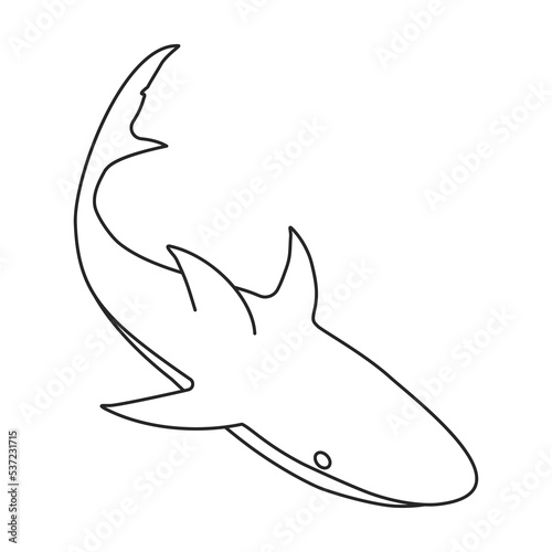Shark vector icon.Outline vector icon isolated on white background shark.