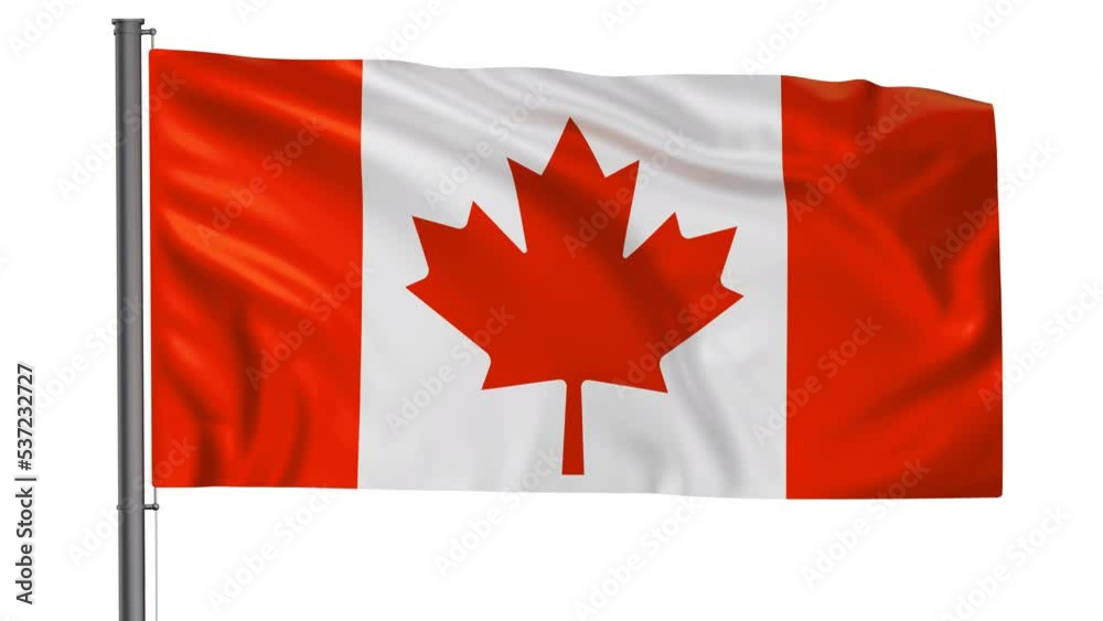 Canada flag waving in the wind looped video, with alpha mask Canada flag waving in the wind looped video, with alpha mask