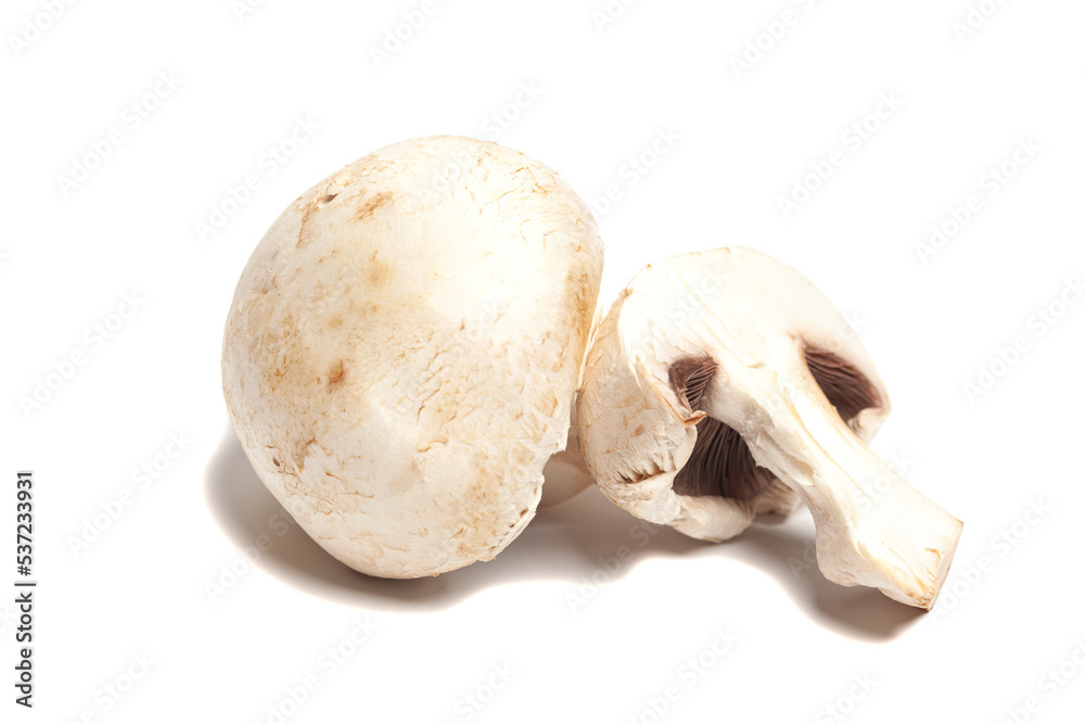 Fototapeta premium Champignon Mushroom isolated on white background