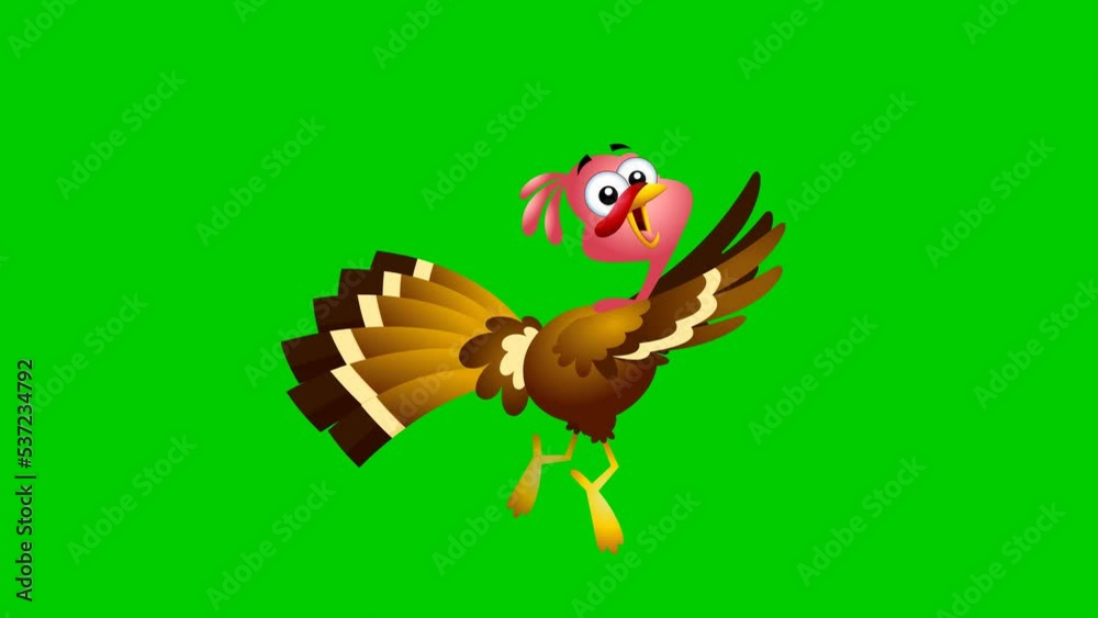Scared Turkey Baby Cartoon Character Running. 4K Animation Video Motion Graphics With Green Screen Background