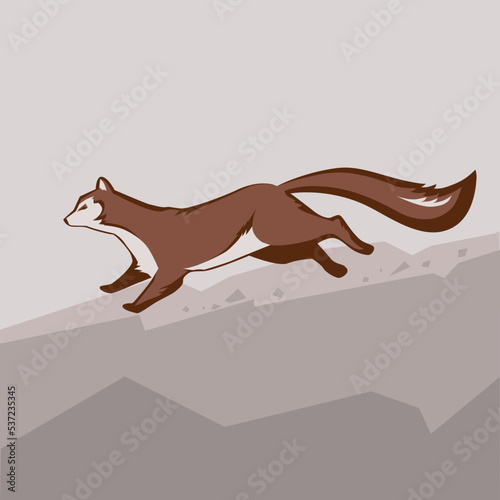 sable or ermine, linear illustration, vector illustration, stylization