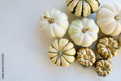 Modern composition in autumn style with white and golden pumpkins on a light background. Halloween, Thanksgiving party concept. Background for blog place for text. Empty space for text 