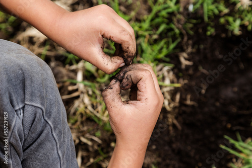 Close-up of a child's hands gardening. Planting trees