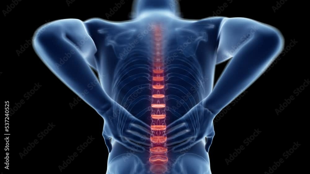 3d rendered medical animation of a man having backache 3d rendered medical animation of a man having backache
