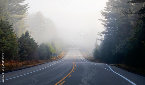 Early autumn morning fog on Highway 60 in Algonquin Park  Canada
