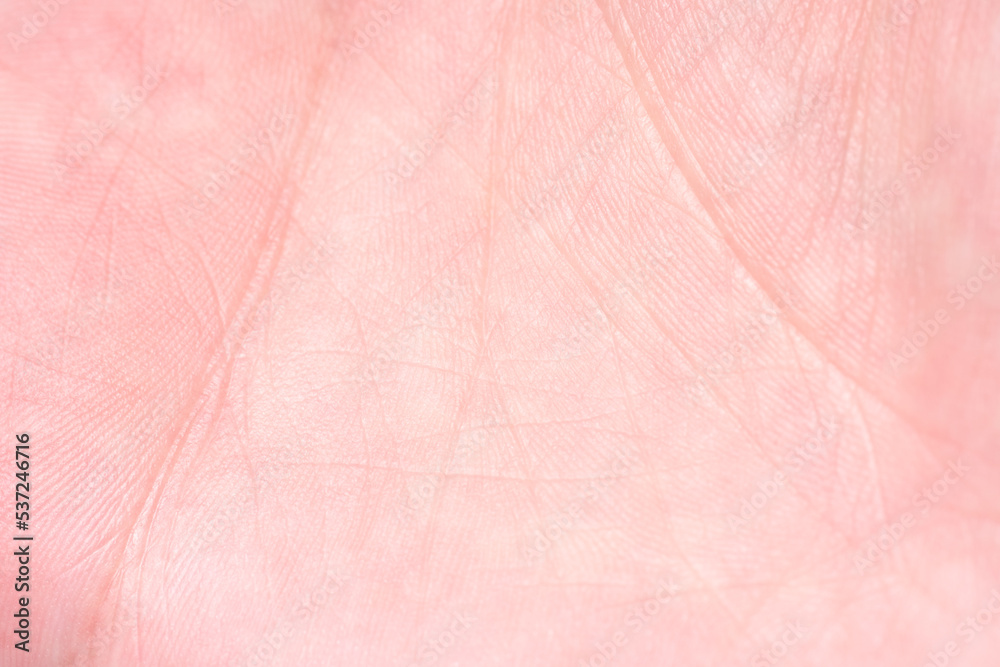 custom made wallpaper toronto digitalbackground of a pink skin texture. Healthy skin. Macro photo of skin cells.