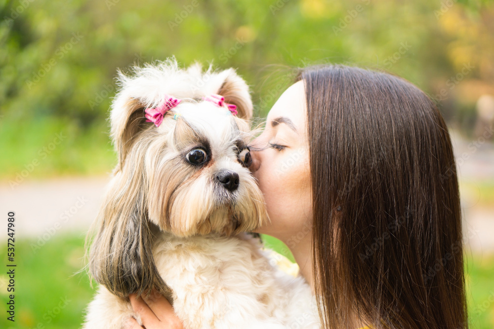 Close up portrait brunette woman holds in her arms hugs and kisses a funny surprised shih tzu dog in autumn park. copy space background. The concept of love and care for animals. Close up portrait brunette woman holds in her arms hugs and kisses a funny surprised shih tzu dog in autumn park. copy space background. The concept of love and care for animals.