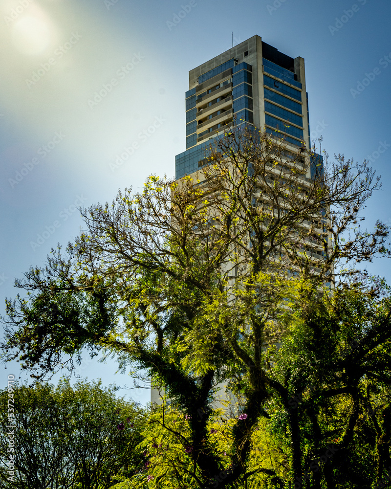 building with tree