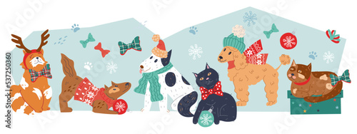 Christmas background with cute animals characters, flat cartoon vector illustration isolated on white. Christmas and New Year banner or greeting poster template with cats and dogs.