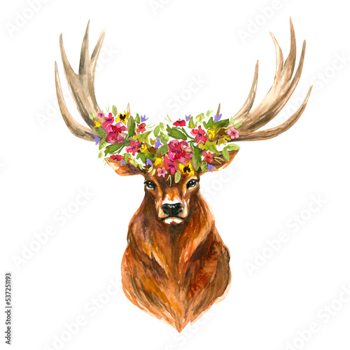 Floral deer, forest animal with flowers on horns. Hand made watercolor art isolated on white. Vector
