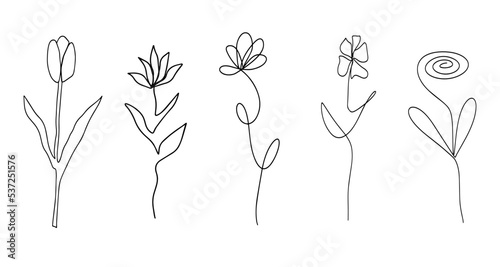 Set of monoline flowers