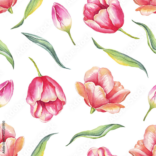 Watercolor tulips. Seamless pattern