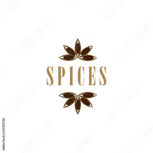 Spices banner or logo decorated with anise stars.