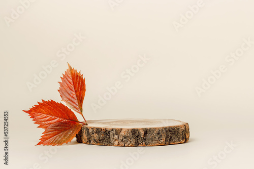 Wooden podium with autumn red leaves, minimal aesthetic background for product presentation