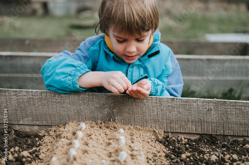 spring planting seeding in farm garden. little six year old kid boy farmer gardener plants and sow vegetable seeds in soil in bed. gardening and beginning summer season in countryside village