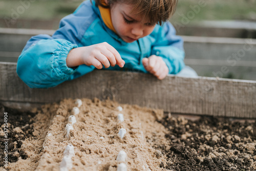 spring planting seeding in farm garden. little six year old kid boy farmer gardener plants and sow vegetable seeds in soil in bed. gardening and beginning summer season in countryside village
