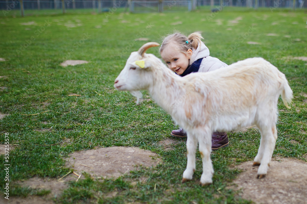 Adorable little girl playing with goats and sheep at farm Adorable little girl playing with goats and sheep at farm