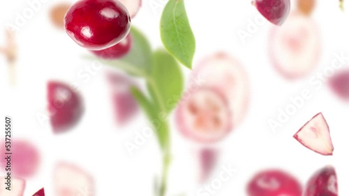 Cranberry fruit pieces, slices and leaves being moved isolated on white. Seamless looping. High quality 4k video.