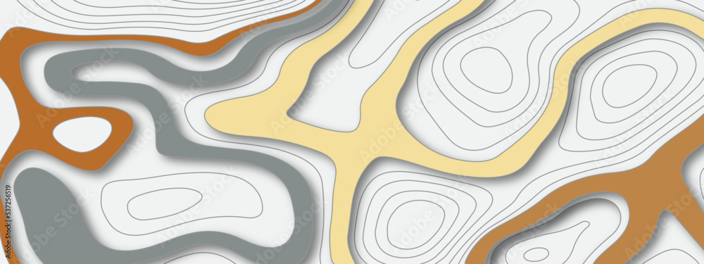 The stylized multicolored wavy abstract topographic map contour, lines Pattern background. Topographic map and landscape terrain texture grid. Wavy banner and color geometric form. Vector illustration