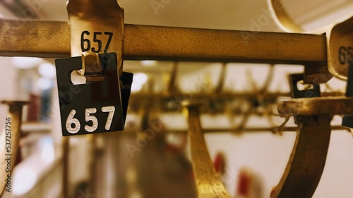 Fotografia, Obraz black numbers on golden hangers in the cloakroom