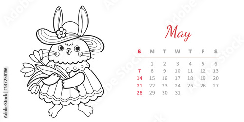 May 2023 horizontal calendar page with cute outline bunny. Rabbit girl with flower. Chinese new year symbol. Coloring book vector illustration.