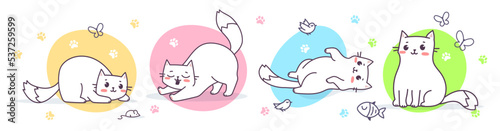 Vector set of illustration of happy cute cat character in different pose with mouse and fish on color background. Flat line art style design of animal cat